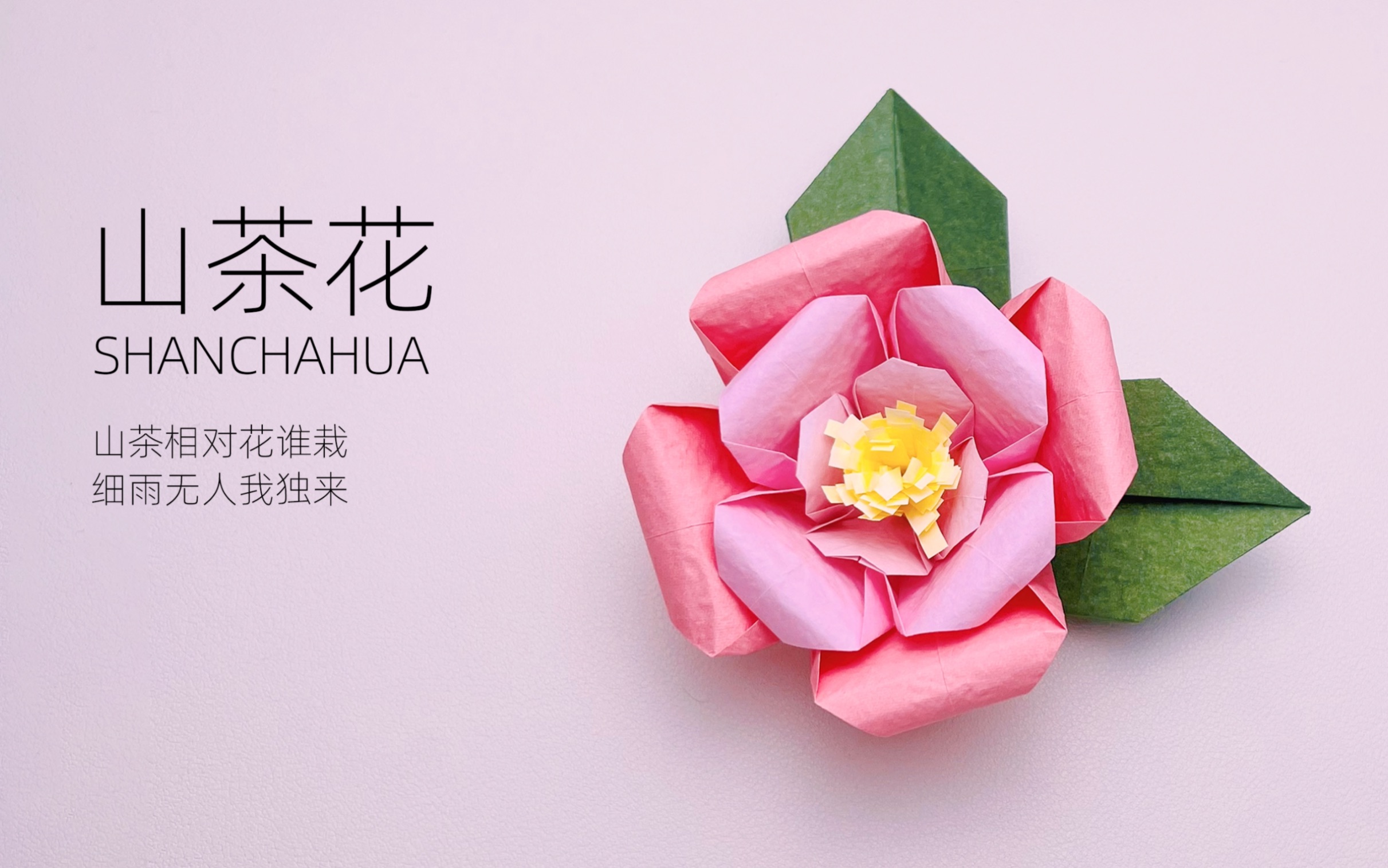 [图]《花卉折纸教程》——椿花山茶花折纸教程～立春快乐！