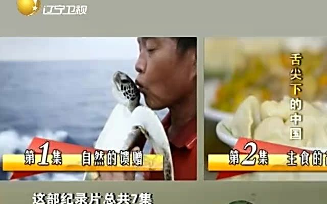 [图]老梁观世界 20120608_《舌尖上的中国》 返璞归真创奇迹