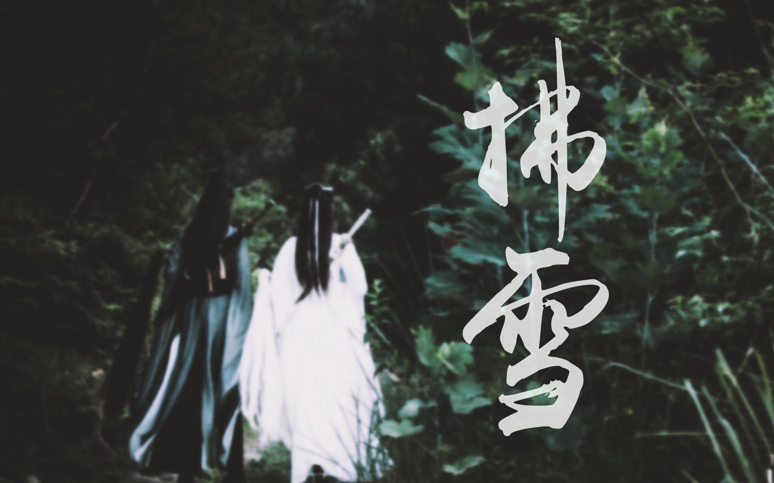 陈情令双道长拂雪可惜生死知己未相逢晓星尘x宋子琛宋继扬x李泊文