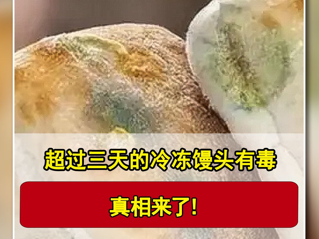 超过三天的冷冻馒头有毒? 真相来了!哔哩哔哩bilibili