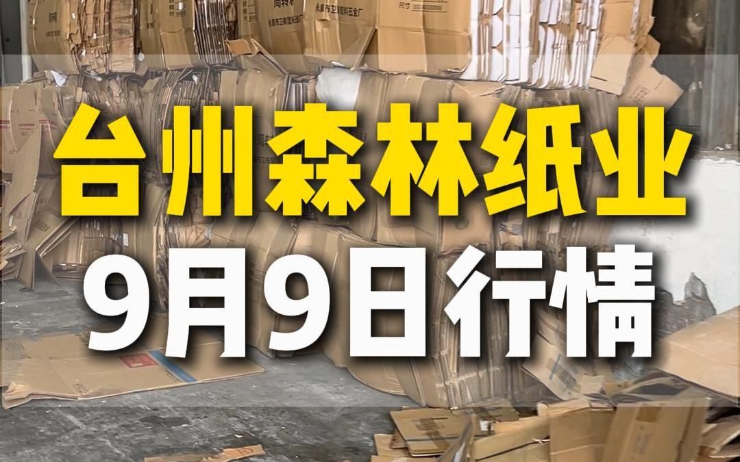 9月9日台州森林造纸采购行情参考哔哩哔哩bilibili