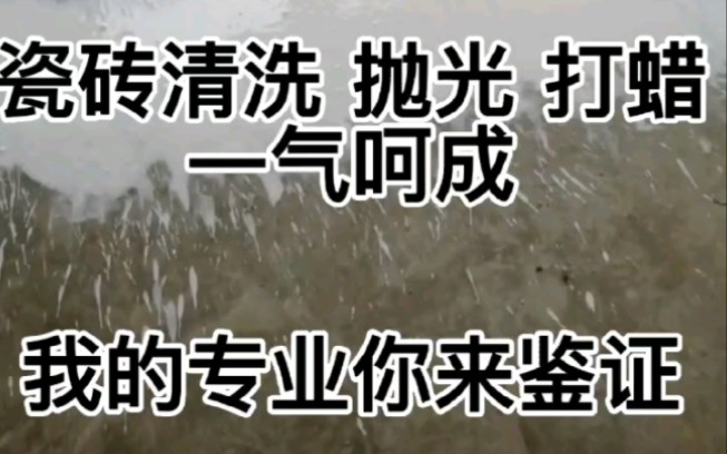 郑州市恢复接单,专业提供保洁钟点工,地板清洗抛光打蜡 我的专业你来鉴证哔哩哔哩bilibili