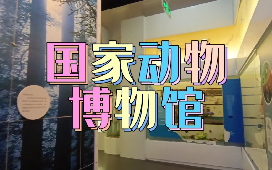 国家动物博物馆·昆虫展区