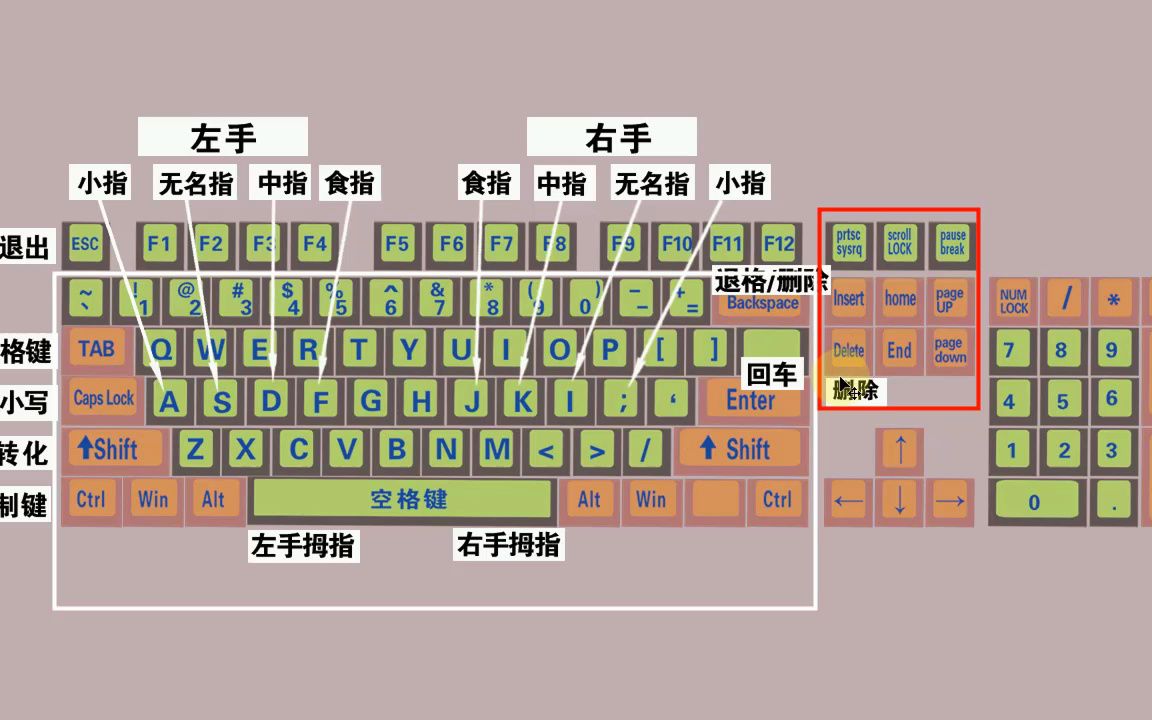 零基础快速学拼音学五笔打字教程,键盘打字快速入门哔哩哔哩bilibili