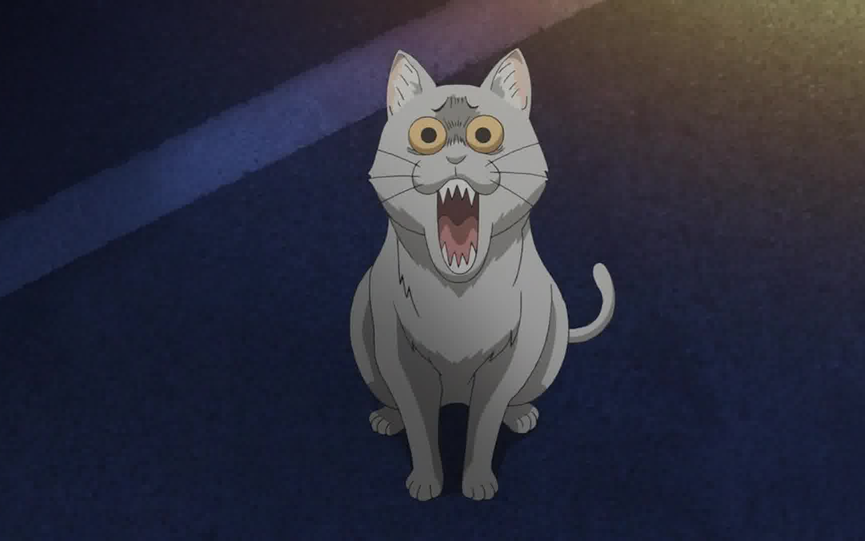 震撼猫哥一百年