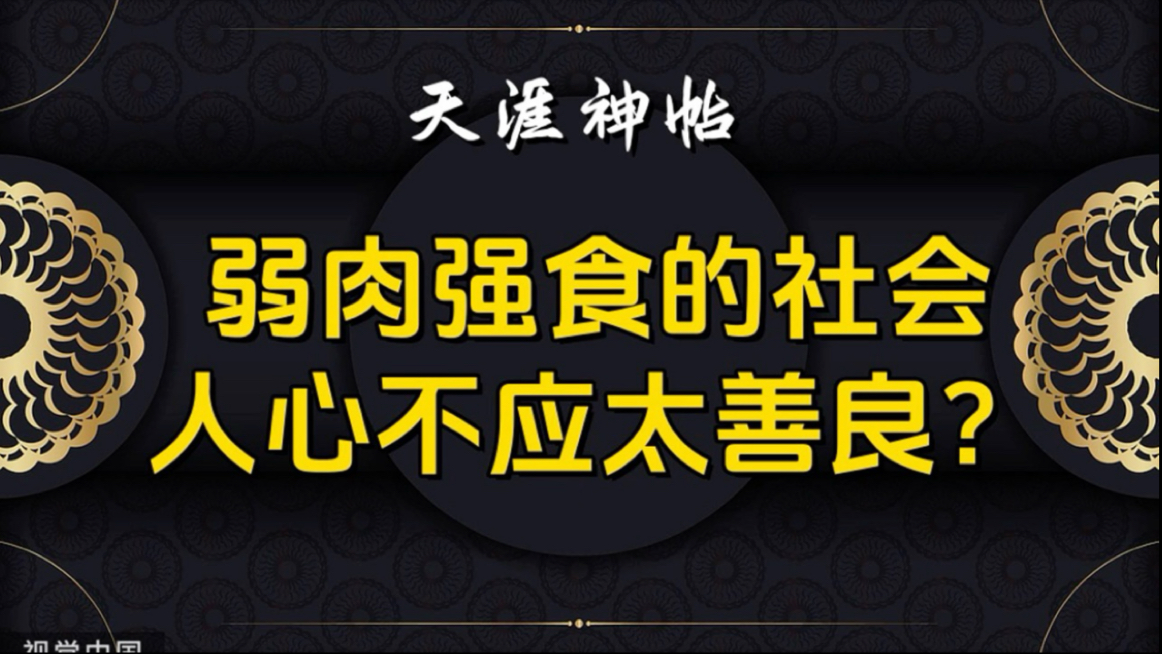 在这个弱肉强食的社会里,钱从来不属于太善良的老实人?