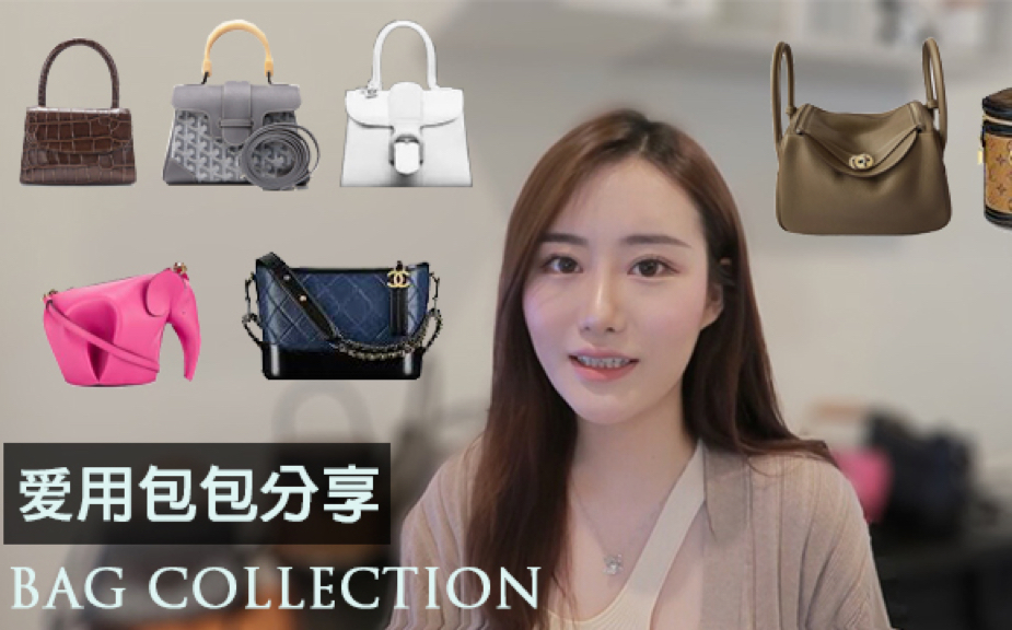 爱用包包分享|包包合集 Bag Collection|大牌&小众品牌|买包建议|Hermes|Goyard|Chanel|Delvaux|LV哔哩哔哩bilibili