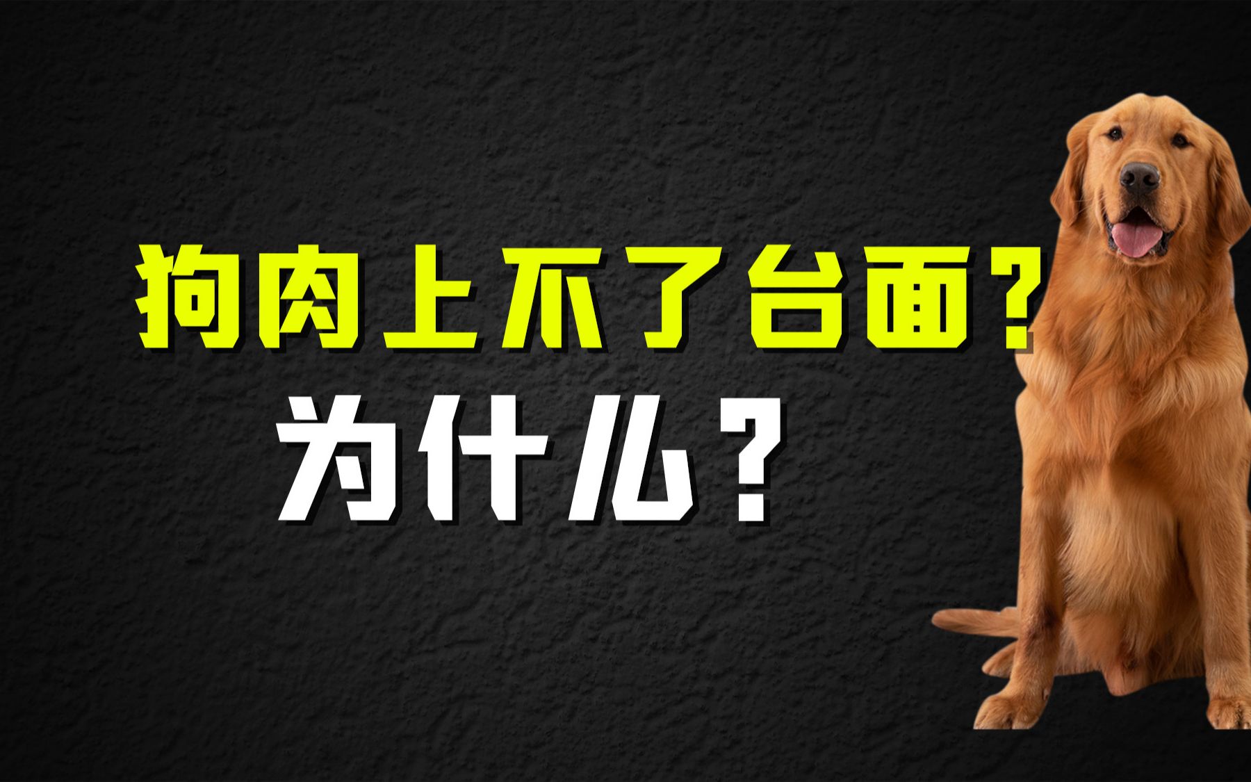 为什么说“狗肉上不了台面”?吃狗肉,为什么“名声”不好听?哔哩哔哩bilibili