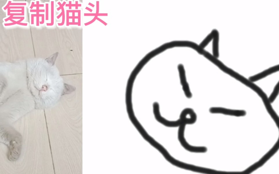 画一只猫头有多简单?哔哩哔哩bilibili