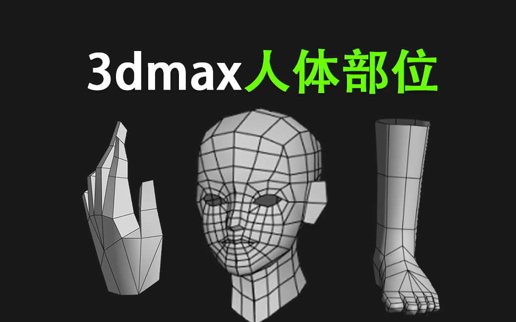 3dmax新手建模教程！女性人体部位结构制作！从头部、手部、脚部制作人物建模部位 - 哔哩哔哩