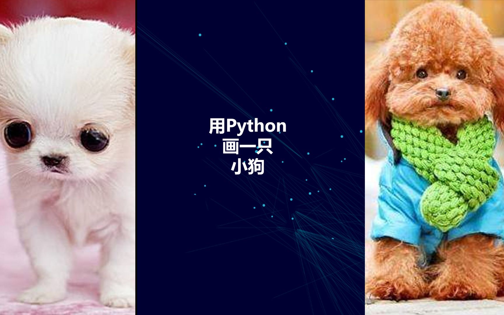 python画小狗代码图片