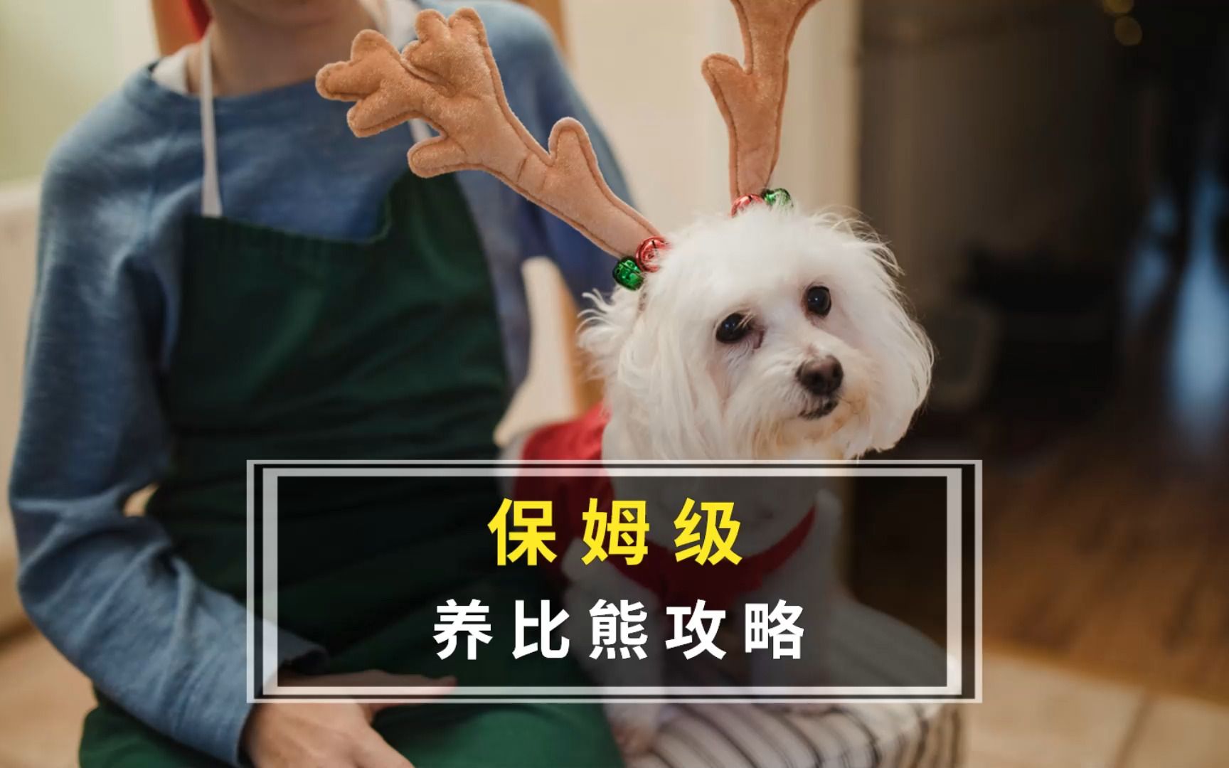 它们不仅给我们带来欢声笑语