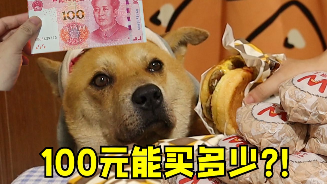 童年最大愿望实现啦！100元在各家能买多少汉堡？！