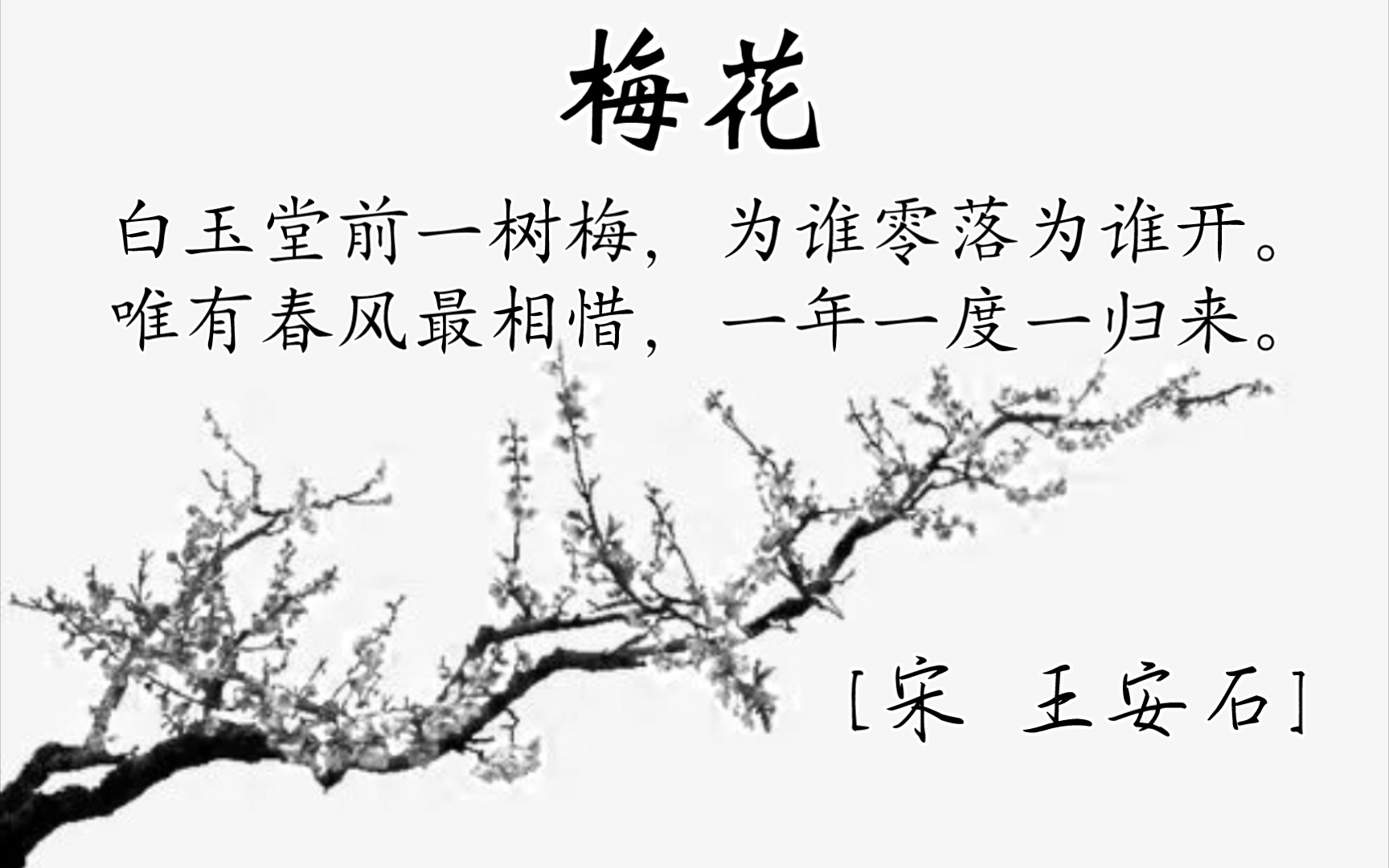 [图]梅花 [宋 王安石]白玉堂前一树梅，为谁零落为谁开。唯有春风最相惜，一年一度一归来。