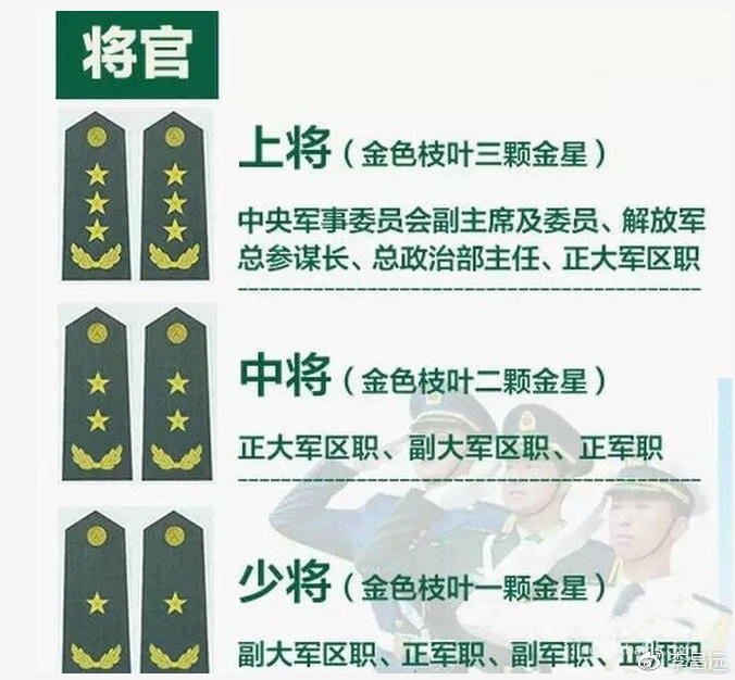 中国陆军军衔大全图片