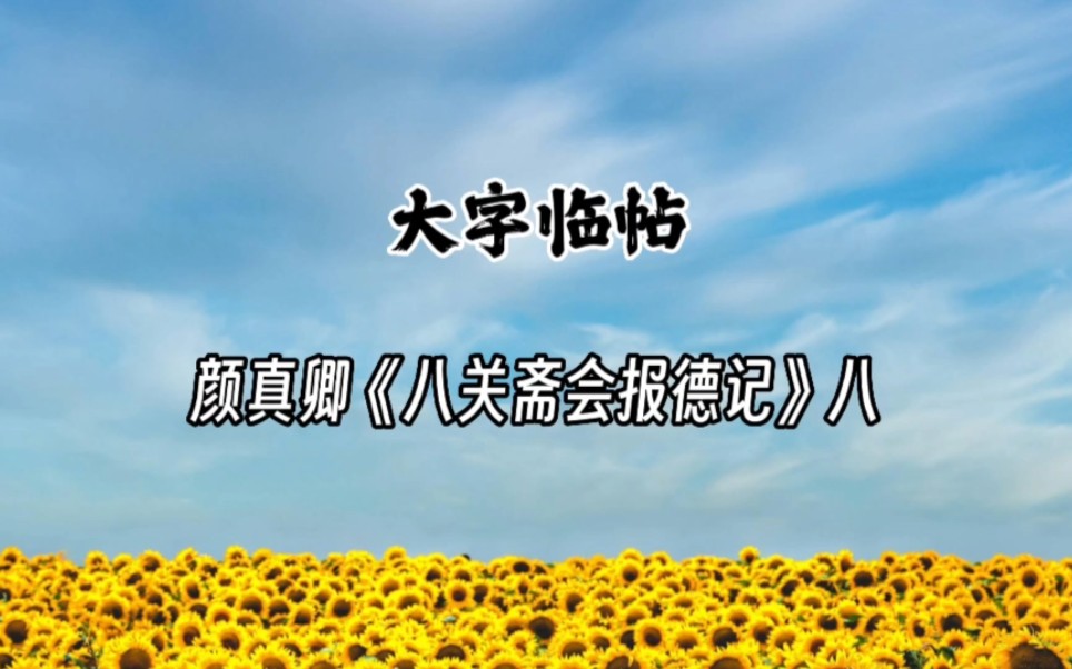 大字临帖颜真卿——《八关斋会报德记》八节,本书17、18节.哔哩哔哩bilibili