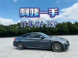 Download Video: 阿姨一手宝马M4 ZCP，但对于阿姨来说，这就是台帕萨特