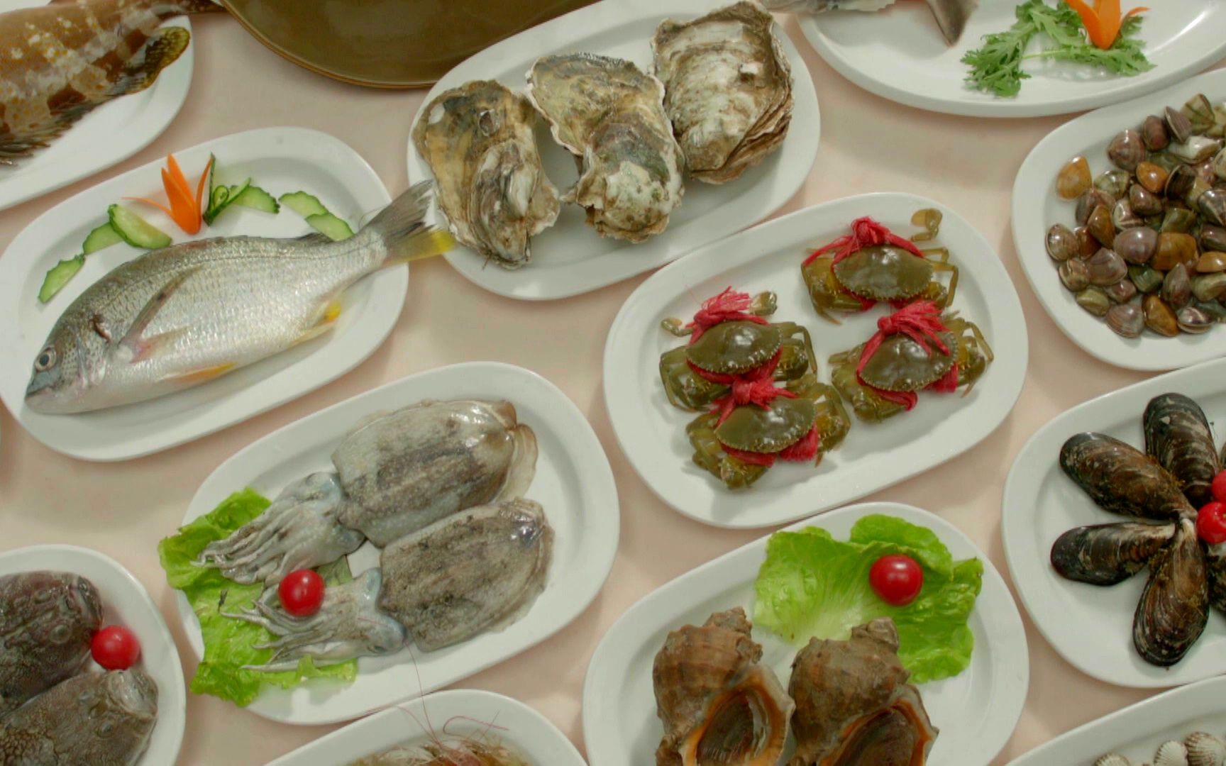 射阳文旅 #2023"新鲜射阳景区有味"美食季