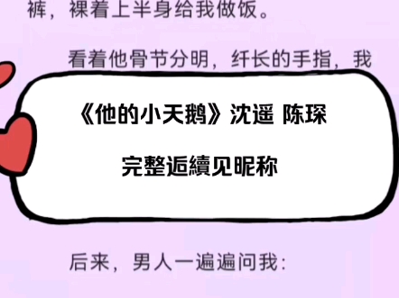 超火小甜文《他的小天鹅》沈遥小说后续全文在线阅读哔哩哔哩bilibili