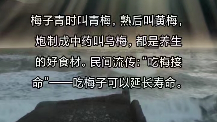 梅子青时叫青梅,熟后叫黄梅,炮制成中药叫乌梅,都是养生的好食材.民间流传:“吃梅接命”——吃梅子可以延长寿命.哔哩哔哩bilibili