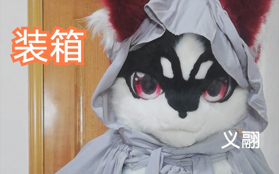 furry半装【装箱现场】第05期 ——by亦鸟哔哩哔哩bilibili