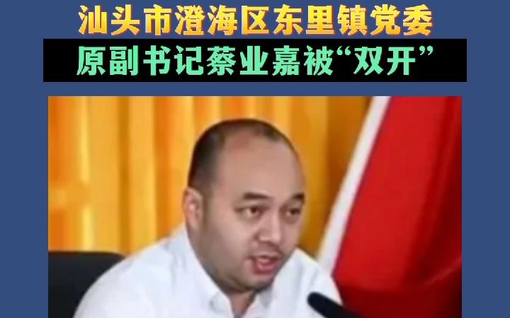 汕头市澄海区东里镇党委原副书记蔡业嘉被“双开”哔哩哔哩bilibili