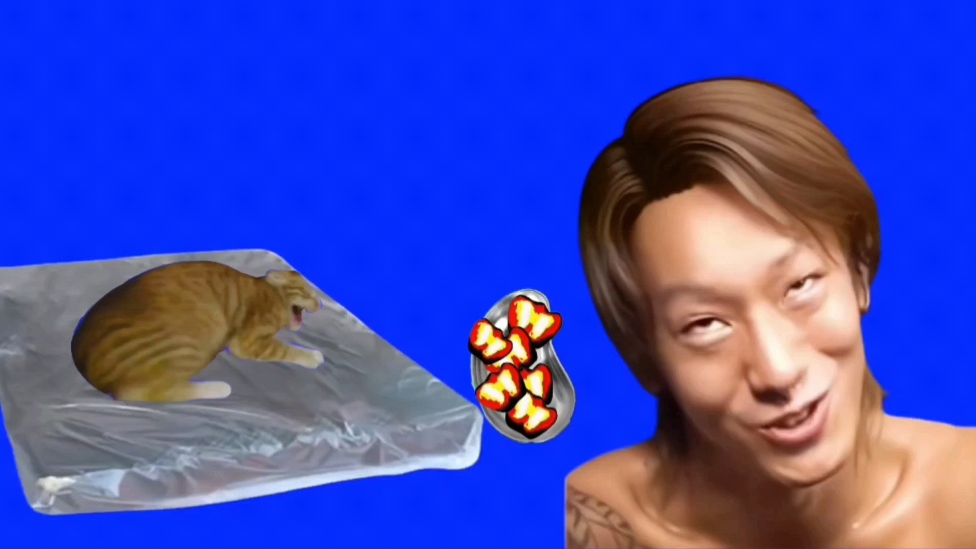 爱猫人士淳平.bb