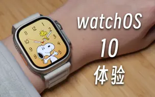 下载视频: 「黑貓」watchOS 10 变化好大！说说我最喜欢的升级点