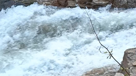 [图]我的美丽山沟沟老家