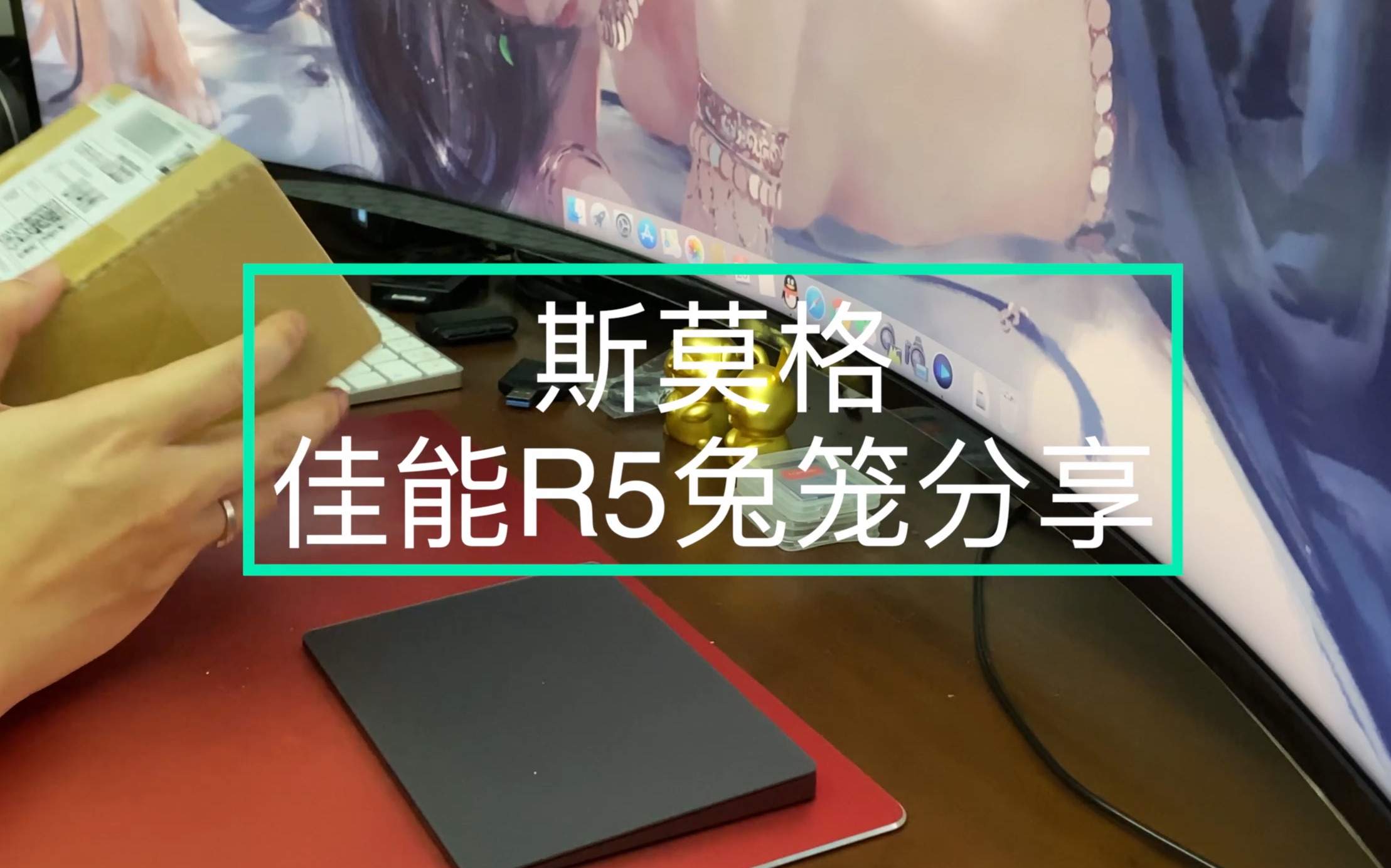 佳能EOS R5 斯莫格兔笼及相关配件分享哔哩哔哩bilibili