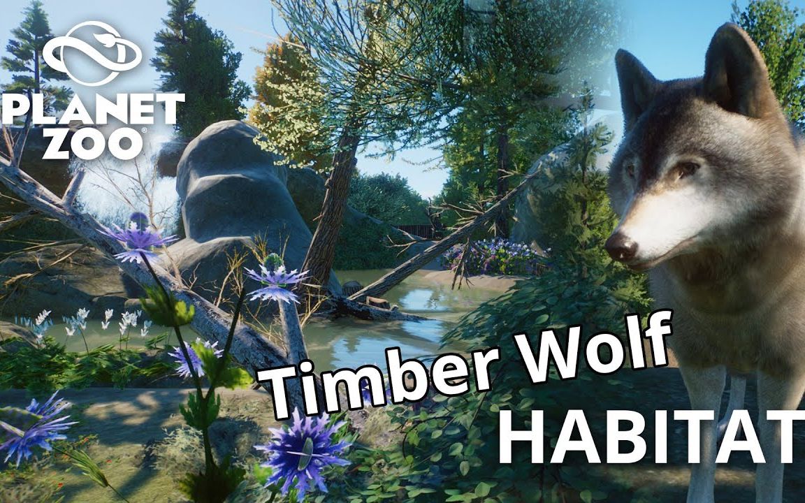 大神带你建造森林狼栖息地(中字) #动物园之星 速建