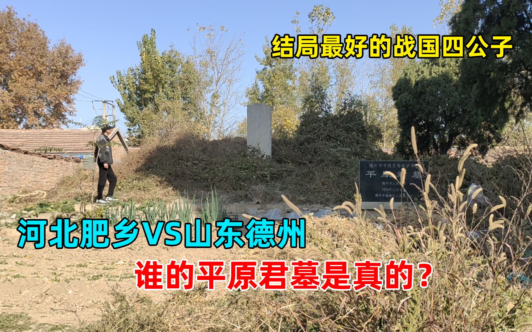 山东德州发现平原君墓,地处小区杂草丛生,来看看翩翩浊世佳公子_哔哩