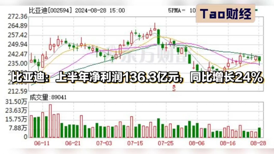 比亚迪:上半年净利润136.3亿元,同比增长24%哔哩哔哩bilibili