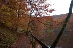 下载视频: 瑞典南德拉森国家公园 II 雨天漫步——秋色秋意🍂