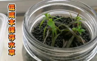 陆转水 搜索结果 哔哩哔哩 Bilibili