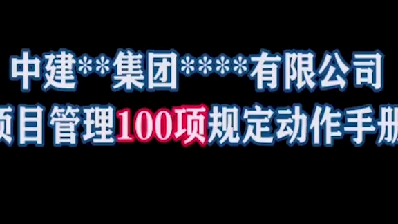 [图]知名项目管理手册100项。