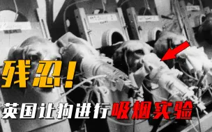 Download Video: 可怕的猎犬实验：为证明吸烟无害，烟草公司让48只狗每天吸1包烟