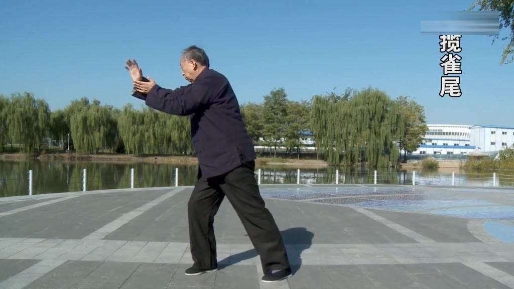 北京武术名家马世琦老师演练吴式太极拳和推手