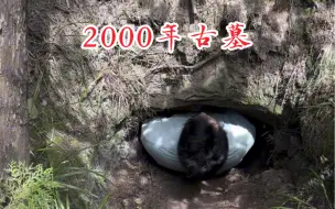 Video herunterladen: 大山里发现2000年的古墓，一个大盗洞！里面还有石棺。