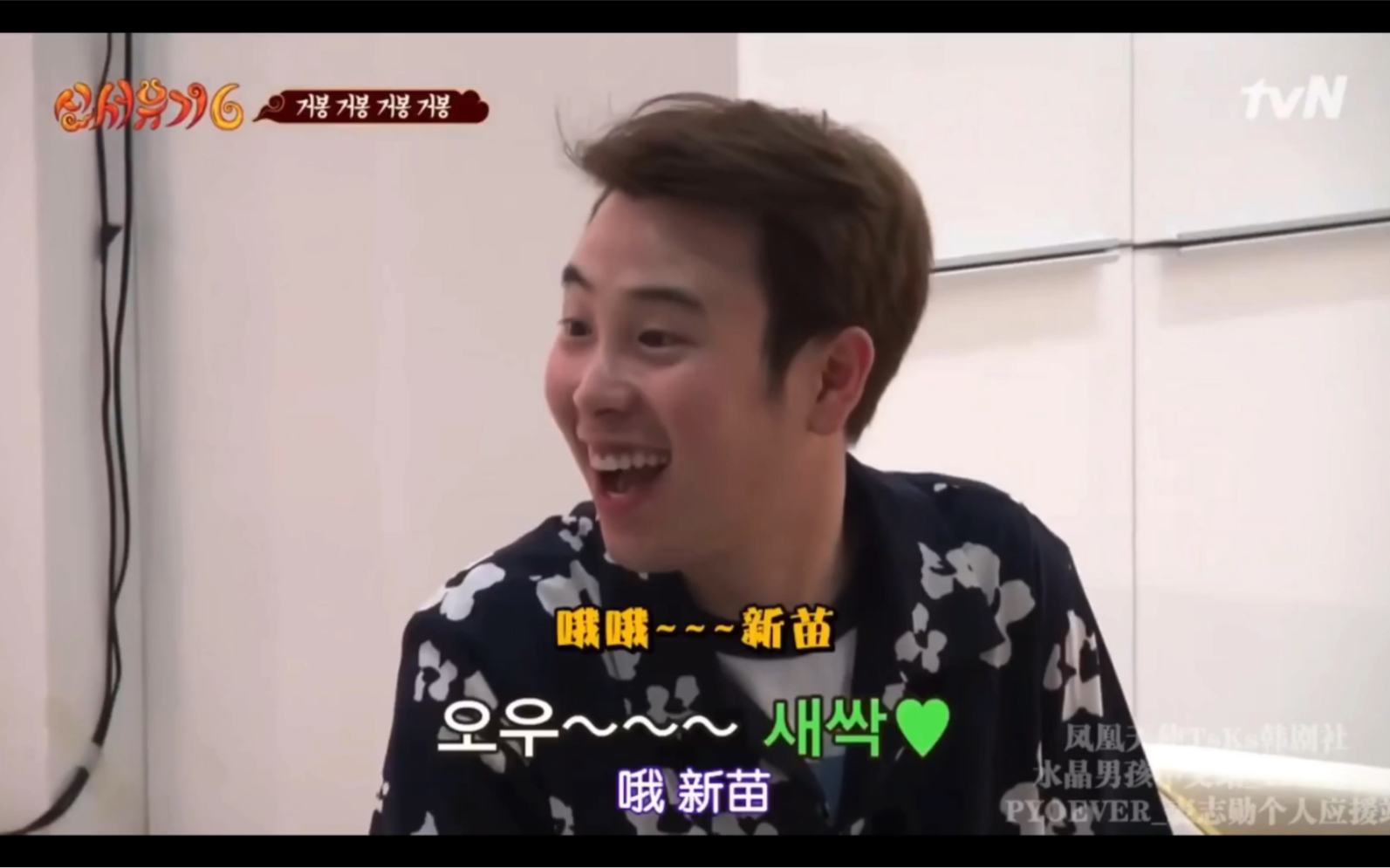 【表志勋】新西游记6里猪猪最cute的片段cut