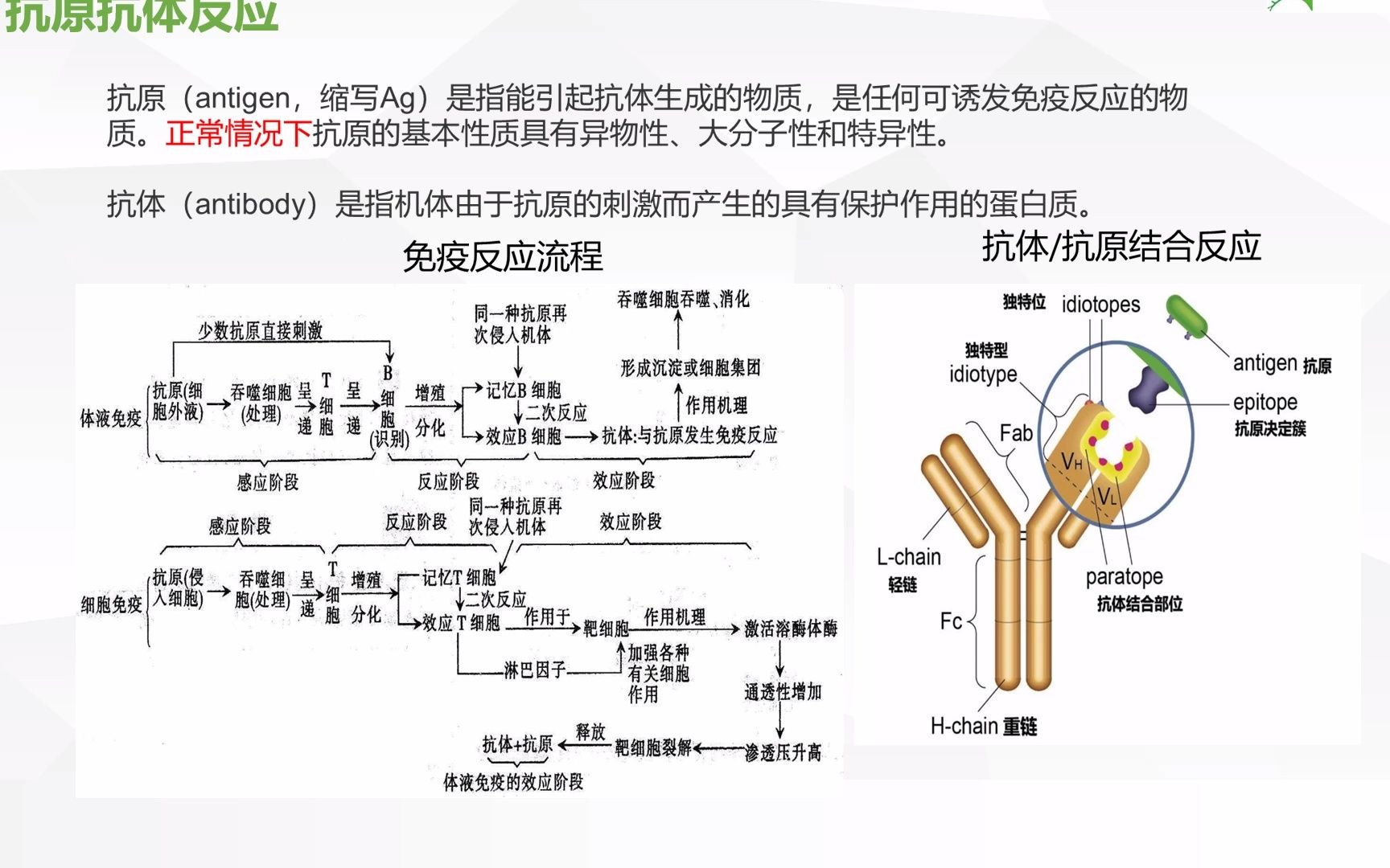 【2022090507】神经免疫抗体检测全介绍哔哩哔哩bilibili