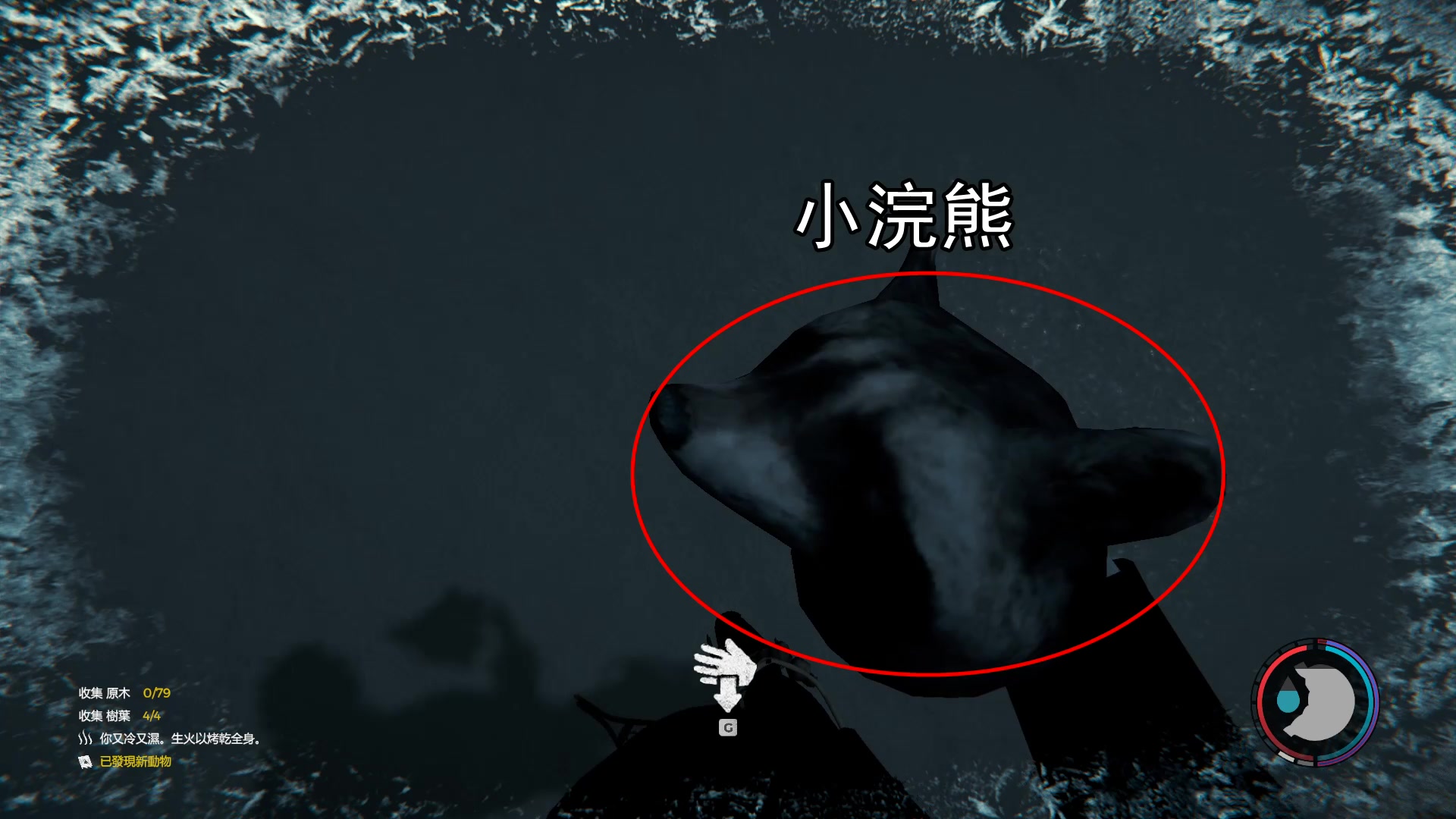 森林游戏8:如何获得浣熊皮,探险雪山湖,成功合成保暖衣