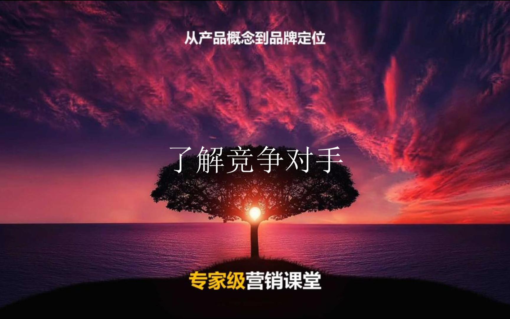 03方法流程:13,瞭解競爭對手