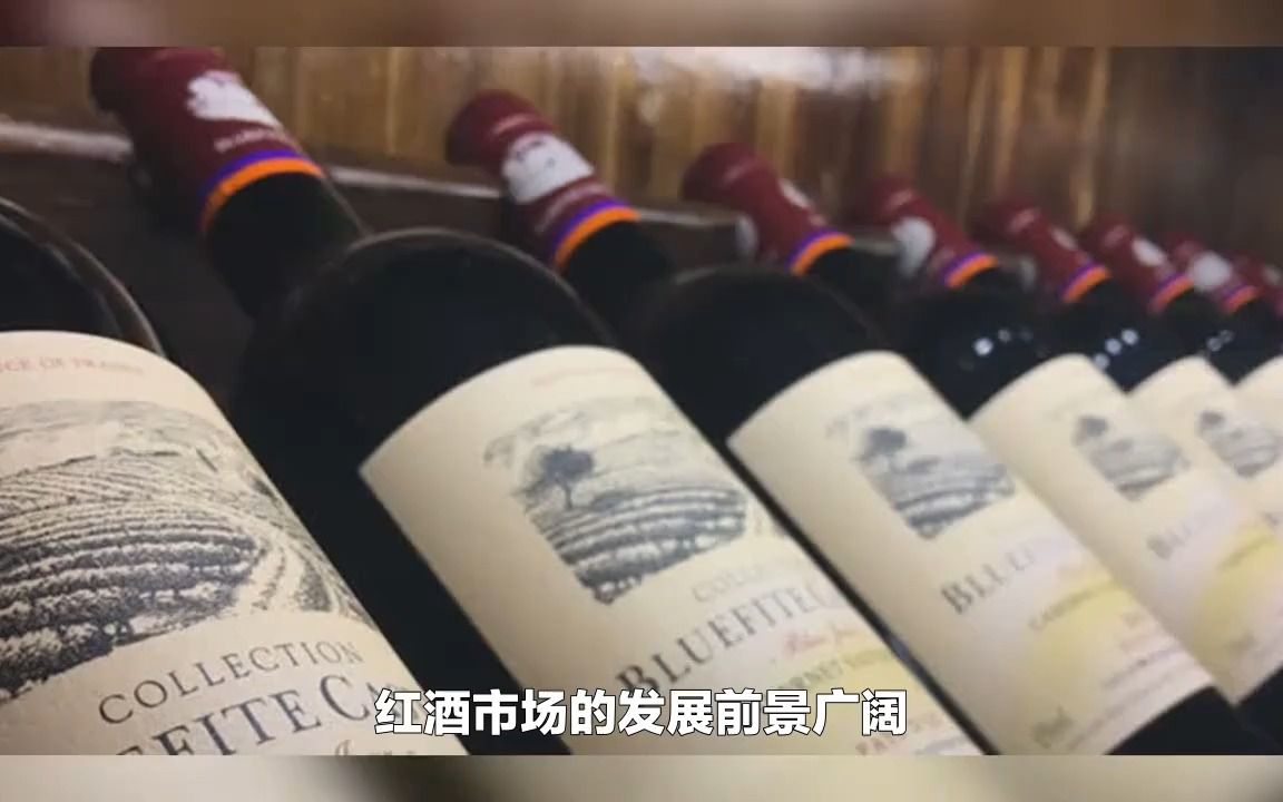 做进口红酒代理生意,记住这四点!蓝菲哔哩哔哩bilibili