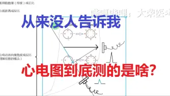 Download Video: 心电图第1节：心电图到底测的是啥？知其然不如知其所以然