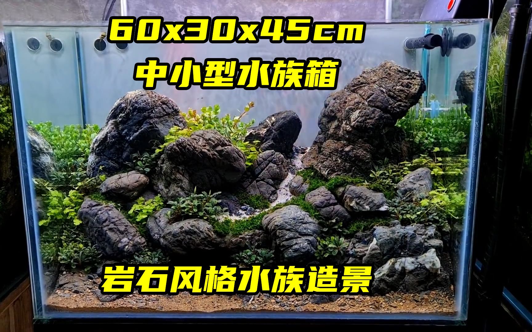 [图]中小型水族箱的岩石风格水族造景，60x30x45cm的中小型水族箱