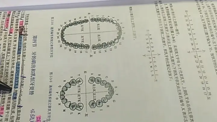 自用！切记自用！/口腔医学/口腔解剖生理学第8版/划书/口腔医学考研 