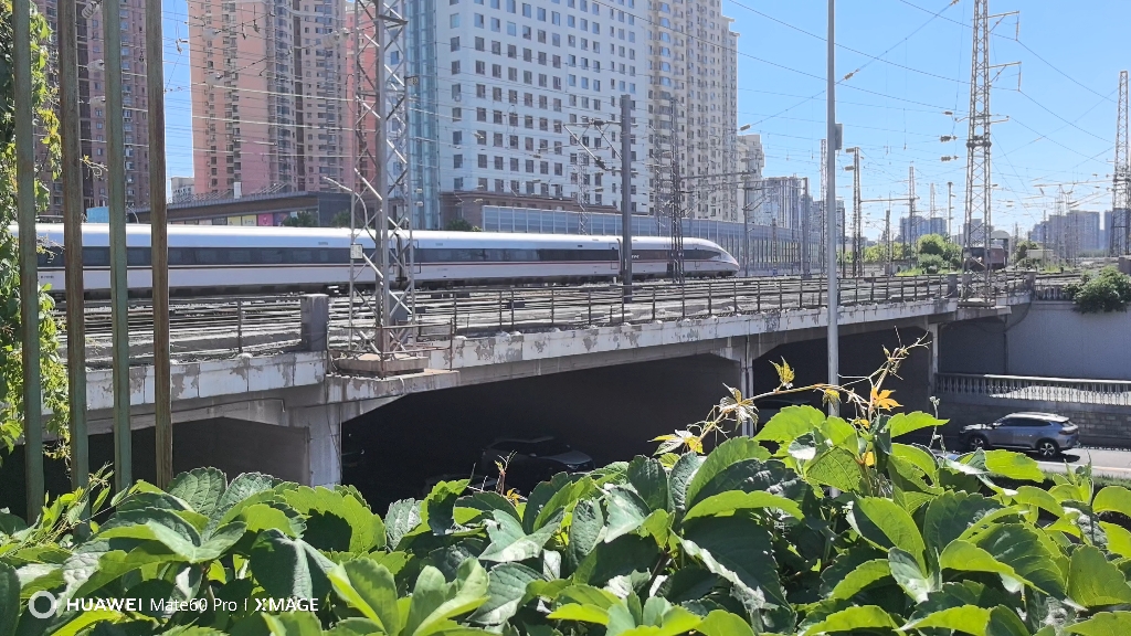 红神龙过莲花桥