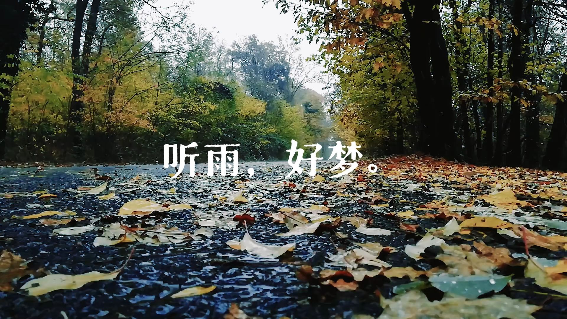 雨声助眠 ?️ | 秋意浓，下雨天意境拉满，真实纯净雨声助你深度睡眠 · 大自然/白噪音/宅家/冥想/解压