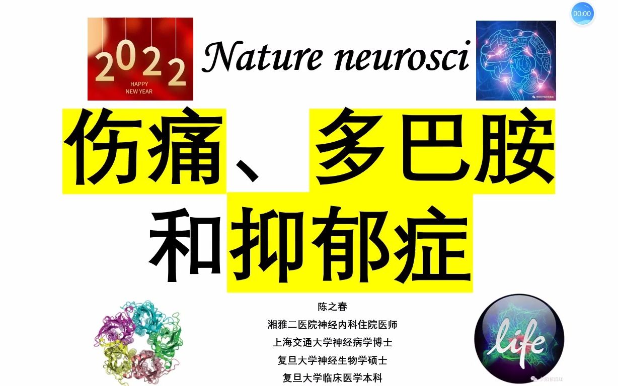 伤心的痛为何引起快感缺失和抑郁症?多巴胺是关键!!哔哩哔哩bilibili